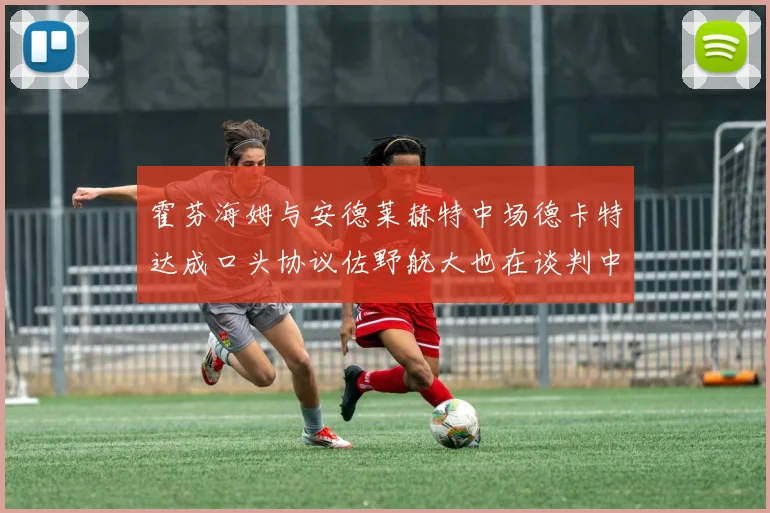 霍芬海姆与安德莱赫特中场德卡特达成口头协议佐野航大也在谈判中